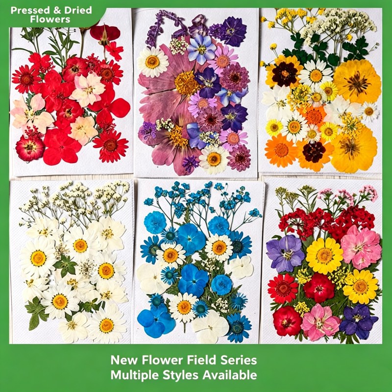 35Pcs10 Set of Dried Flowers a - Candle Making Scents review and price