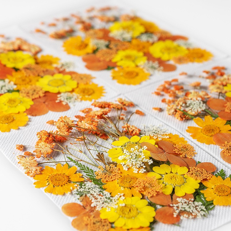 35Pcs10 Set of Dried Flowers a - Candle Making Scents review and price